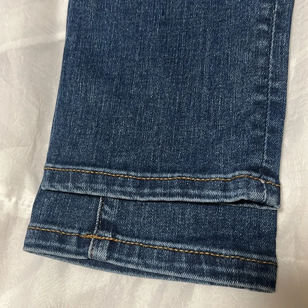Ann Taylor Loft Denim Jeans Size 24/00